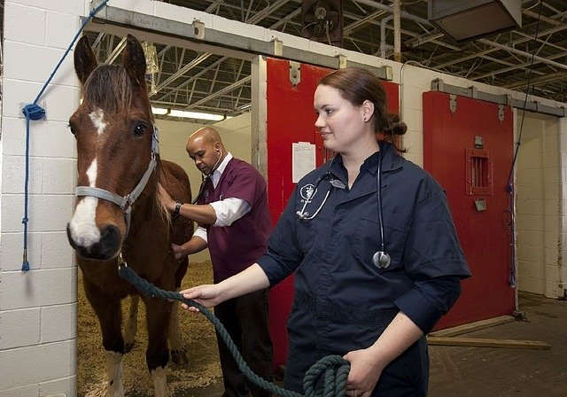 cos'è una farmacia veterinaria